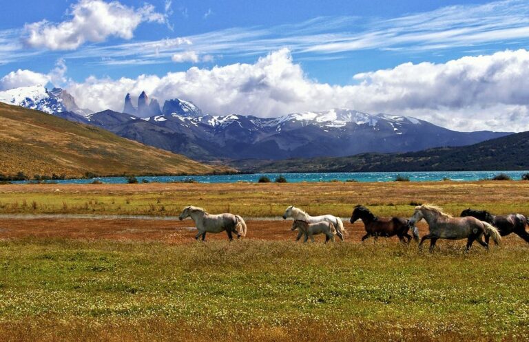 Adventure in Patagonia: Conquering the Wilderness at Land’s End