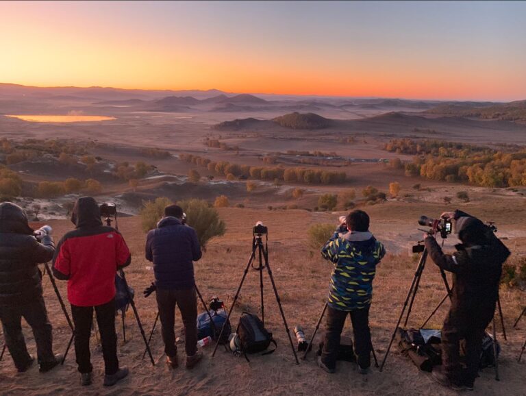 Capturing the Magic: A Beginner’s Guide to Photography